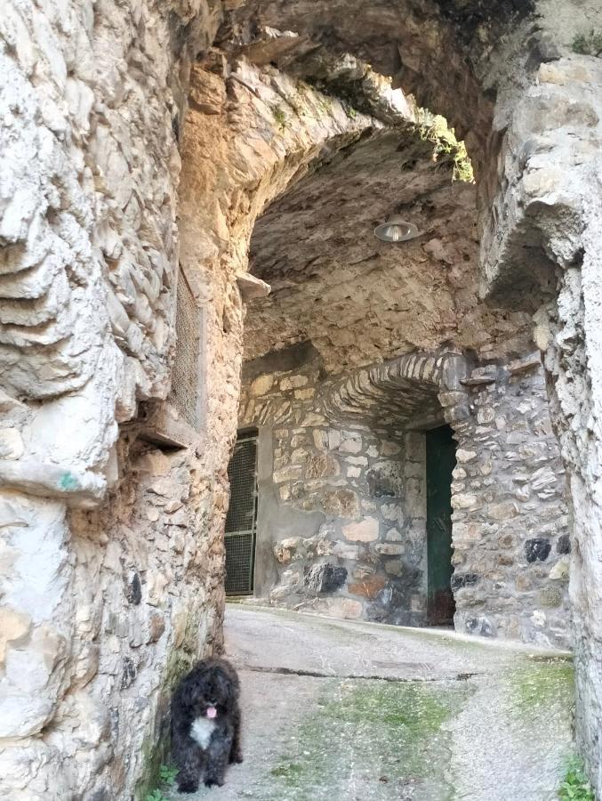 Appartamento la casa nel bosco Mulazzo Esterno foto