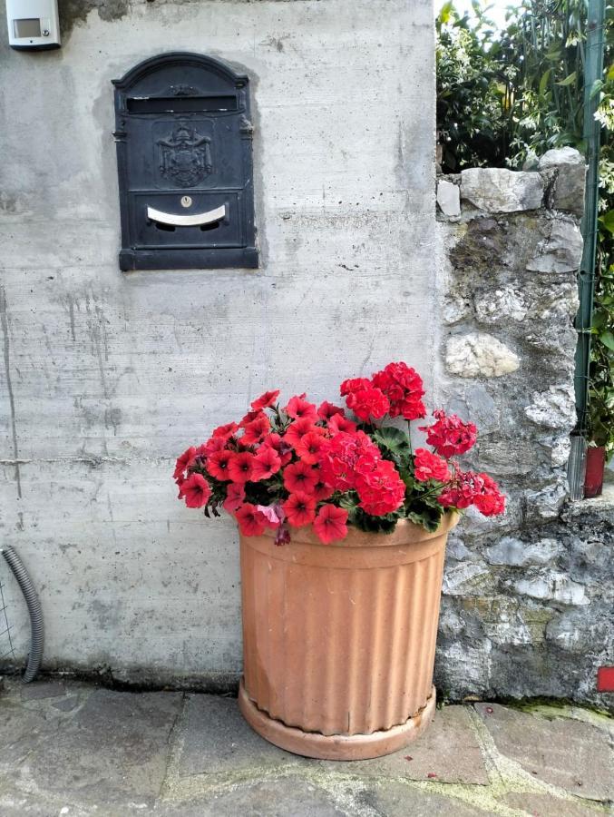 Appartamento la casa nel bosco Mulazzo Esterno foto