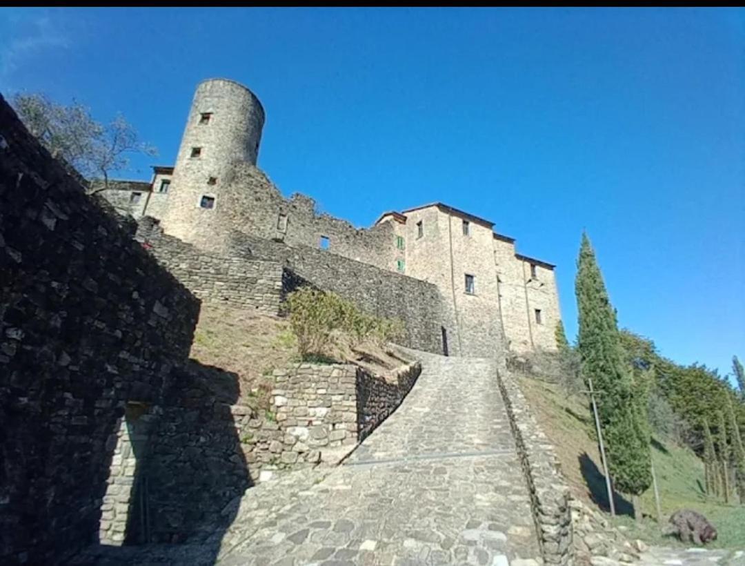 Appartamento la casa nel bosco Mulazzo Esterno foto